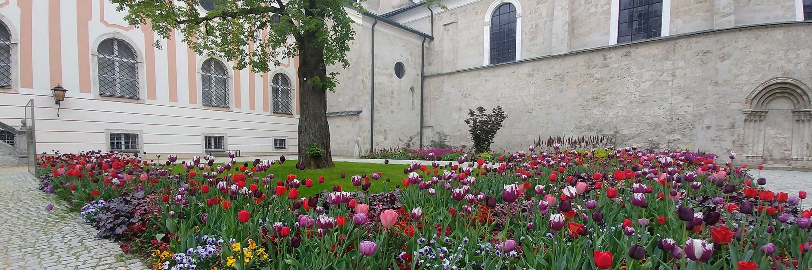 © Danner Landschaftsbau Tulpenmeer vor einer Kirche