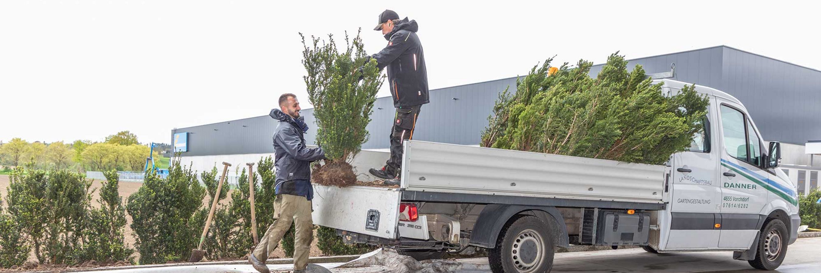 © Felbermayr/Weickinger Baumbepflanzung bei der Firmenzentrale